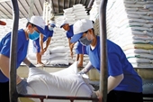 Las exportaciones de arroz sobresalen en el comercio al exterior de Vietnam en 2023