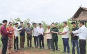 Un proyecto agrícola vietnamita para ayudar a mejorar las condiciones de vida de los agricultores laosianos