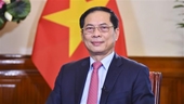 Promoción de la identidad diplomática del bambú vietnamita
