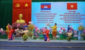 Conmemoran en provincia vietnamita 45 años de victoria en defensa nacional en la frontera suroeste
