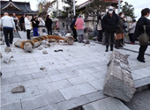 No se reportan vietnamitas damnificados en el terremoto de Japón