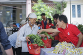 “Tet de la empatía” enaltece la tradición de solidaridad y apoyo mutuo de Vietnam
