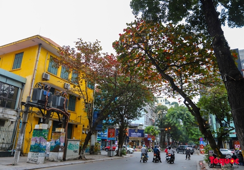 Hanói en el cambio de hojas de almendro