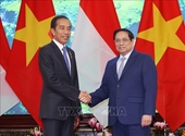 Fortalecimiento de la cooperación multifacética entre Vietnam e Indonesia
