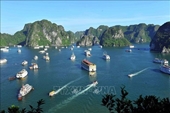 Destinos vietnamitas entre los de tendencia mundial votados por TripAdvisor