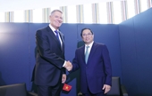 Rumania puede ser puerta de entrada de productos vietnamitas a Europa, afirma embajadora rumana