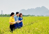 Hanói impulsa las exportaciones agrícolas