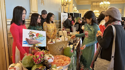 Programa especial para promover la cultura vietnamita en Francia