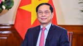 2023, un año de éxito de la diplomacia de Vietnam