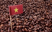 Exportación de café vietnamita alcanza nuevo récord