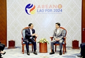 Vietnam fomenta nexos diplomáticos con Tailandia y Malasia