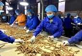 Vietnam se esfuerza por aumentar la competitividad de las exportaciones agrícolas a Estados Unidos