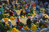 El mercado rural, cultura tradicional durante el Tet y la primavera