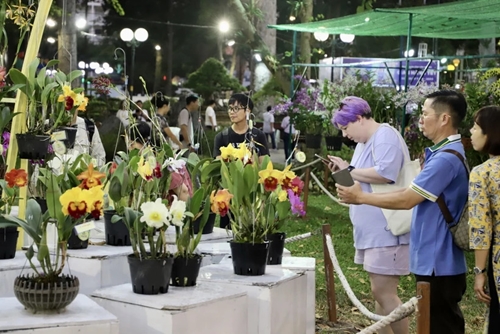Inauguración del Festival de las Flores de Primavera 2024 de Ciudad Ho Chi Minh
