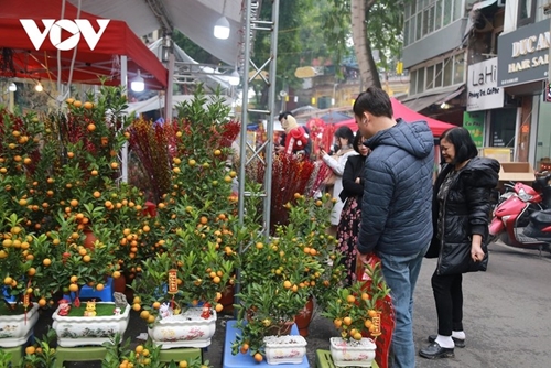 El mercado de flores de Hang Luoc - la belleza de Hanói