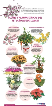 Flores y plantas típicas del Año Nuevo Lunar