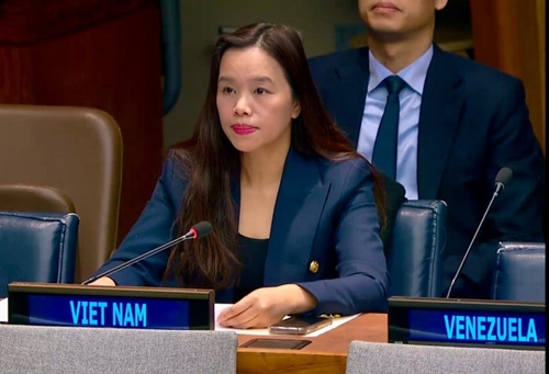 Vietnam se compromete a tomar acciones para combatir y eliminar el comercio ilegal de armas pequeñas y ligeras