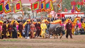 Celebran tradicional festival Tich dien 2024