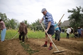 Turistas experimentan cultivo de verduras en aldea centenaria