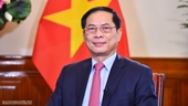 El líder de la diplomacia vietnamita viaja a Ginebra e Irlanda con motivo de su asistencia al Consejo de Derechos Humanos de la ONU