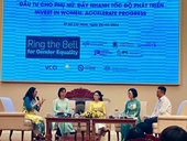 Vietnam busca garantizar la igualdad de género
