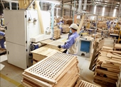 La conexión con empresas de IED ayuda a impulsar las exportaciones de madera