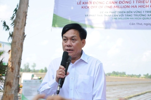 Despliegan proyecto “Un millón de hectáreas de cultivo de arroz de alta calidad y bajas emisiones”