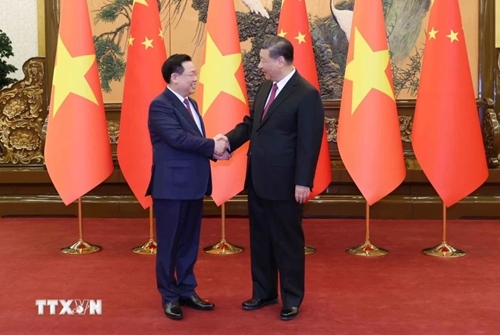 Presidente del Parlamento vietnamita se reúne con líder chino, Xi Jinping