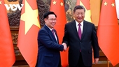 Implementación más efectiva de los mecanismos de cooperación Vietnam-China