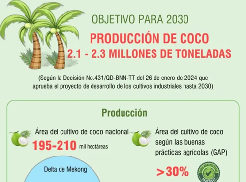 Producción de coco alcanzará 2,3 millones de toneladas para 2030