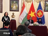 La Ley de Tierras de 2024 equidad hacia los vietnamitas de ultramar