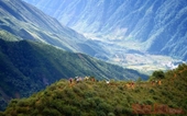 El pico Ta Chi Nhu, un lugar ideal para contemplar el amanecer