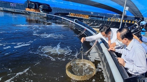 Pesca, sector económico clave de Vietnam