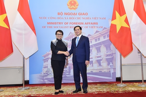 Vietnam e Indonesia interesados en hacer más eficiente la cooperación bilateral