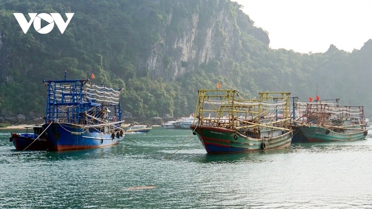 Destacan el rol de las localidades en el combate a la pesca ilegal INDNR