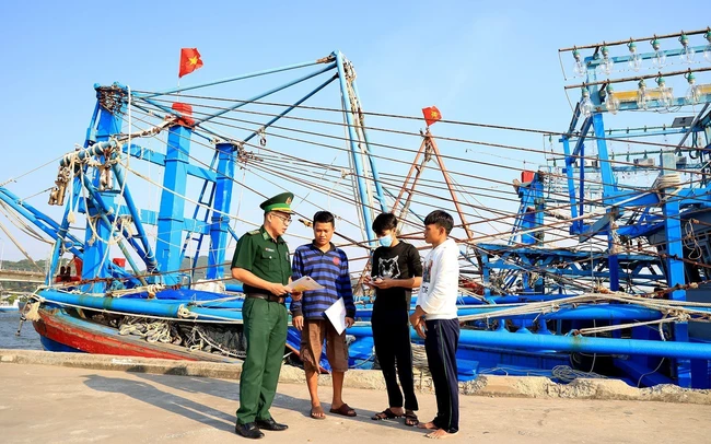 Vietnam aspira a convertirse en líder en pesca sostenible para 2050