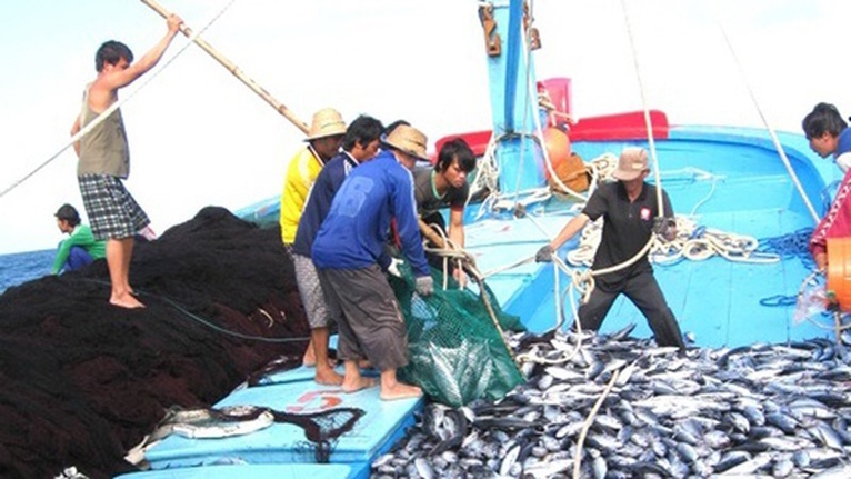 Las autoridades de Vietnam toman medidas más estrictas contra la pesca ilegal